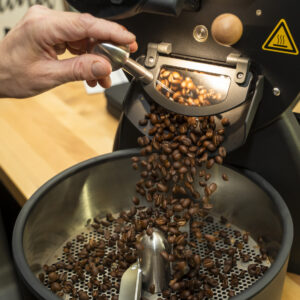 Roasted Kenya Nyeri coffee beans on a sample scoop, First Light single-origin