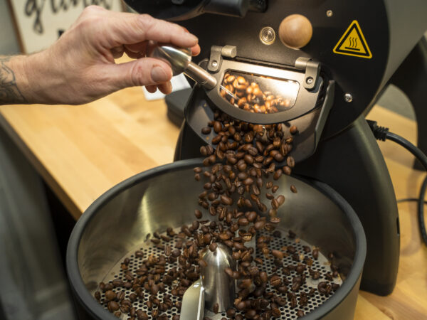 Roasted Kenya Nyeri coffee beans on a sample scoop, First Light single-origin